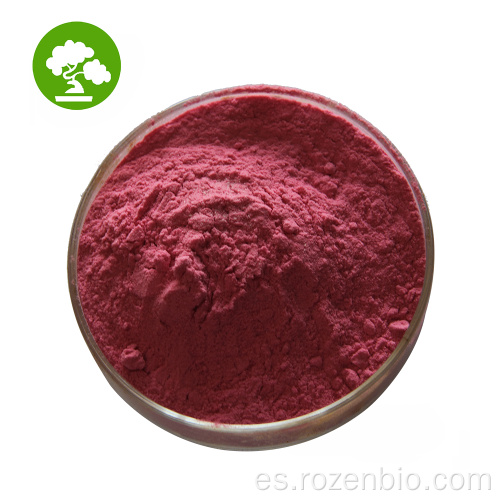 Suplemento 25% de antocianinas Extracto de saúco negro